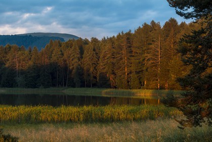 Esparron-La-Bâtie, lac d'Esparron