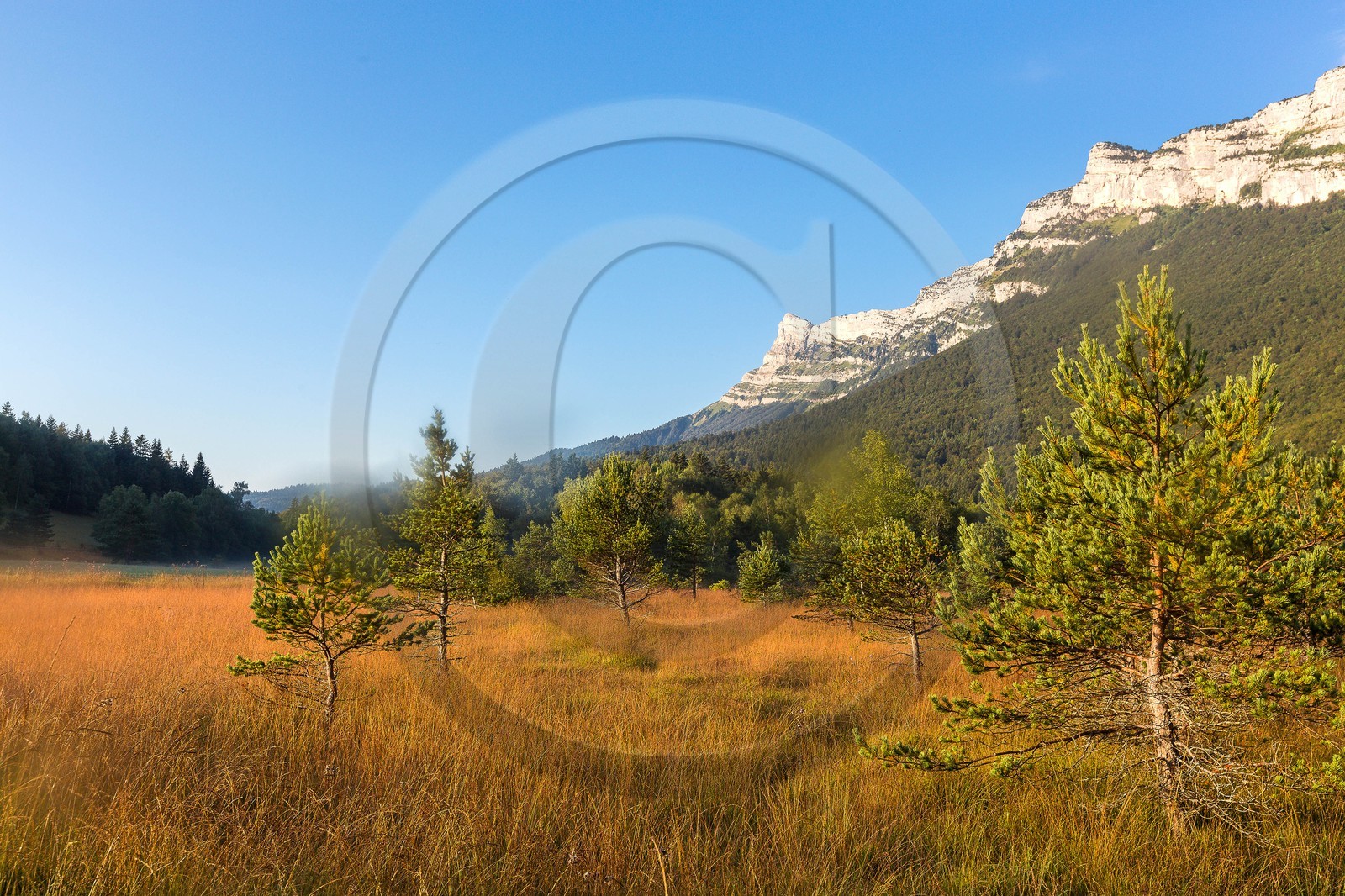 ENS de l'Isère,Tourbières du Peuil