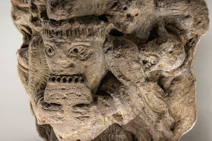 Gap, Musée Muséum départemental des Hautes-Alpes