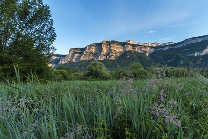 ENS de l'Isère, Marais de Montfort