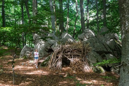 Alpes de Haute-Provence, hêtraie de Pontis