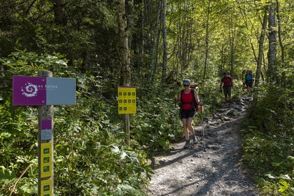 Randonnée pédestre sur le GR54