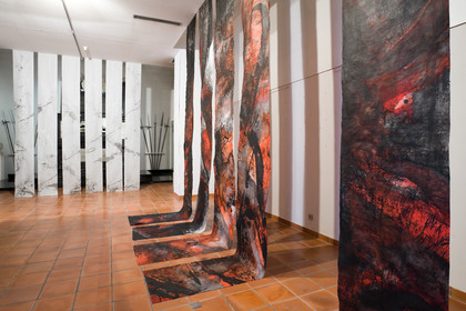 Gap, Musée Muséum départemental des Hautes-Alpes