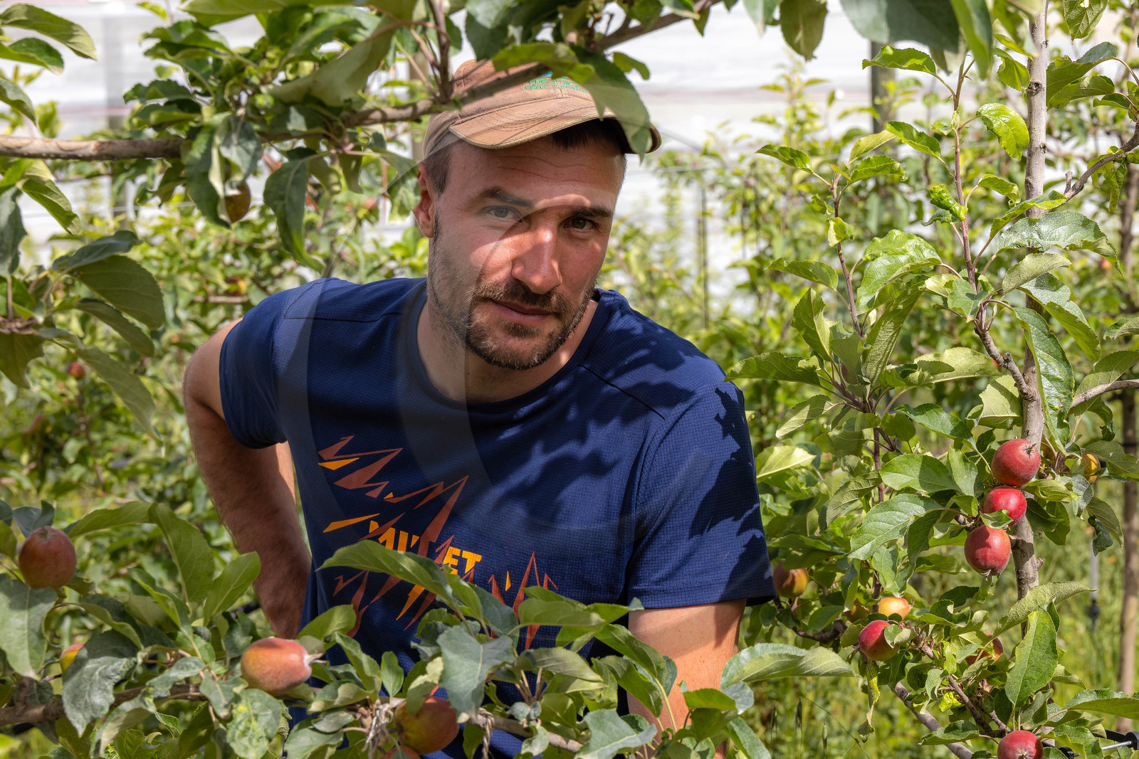 Melve, Gaec de la Maurelle, Adrien Megy