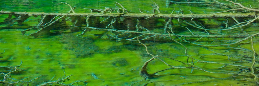 Lac Vert, vallée Etroite