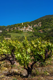 Théüs, vignoble des vins Allemand
