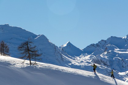 Col de Larche, vallon du lauzanier, randonnée raquettes