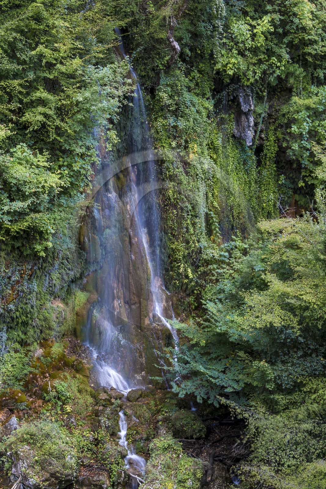Gorges du Loup, saut du Loup