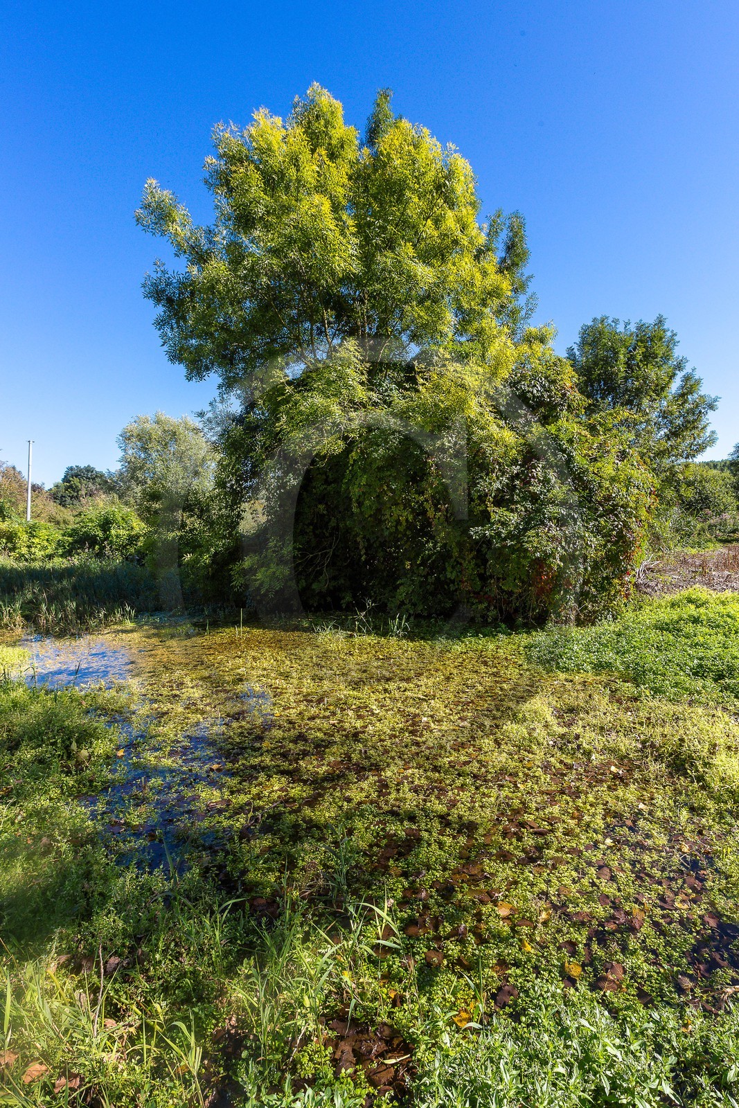 ENS de l'Isère, Les Fontaines de Beaufort