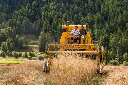 Ceillac, Christophe Gauthier, Exploitant agricole
