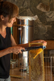 Margaux et Didier Pissard, apiculteurs
