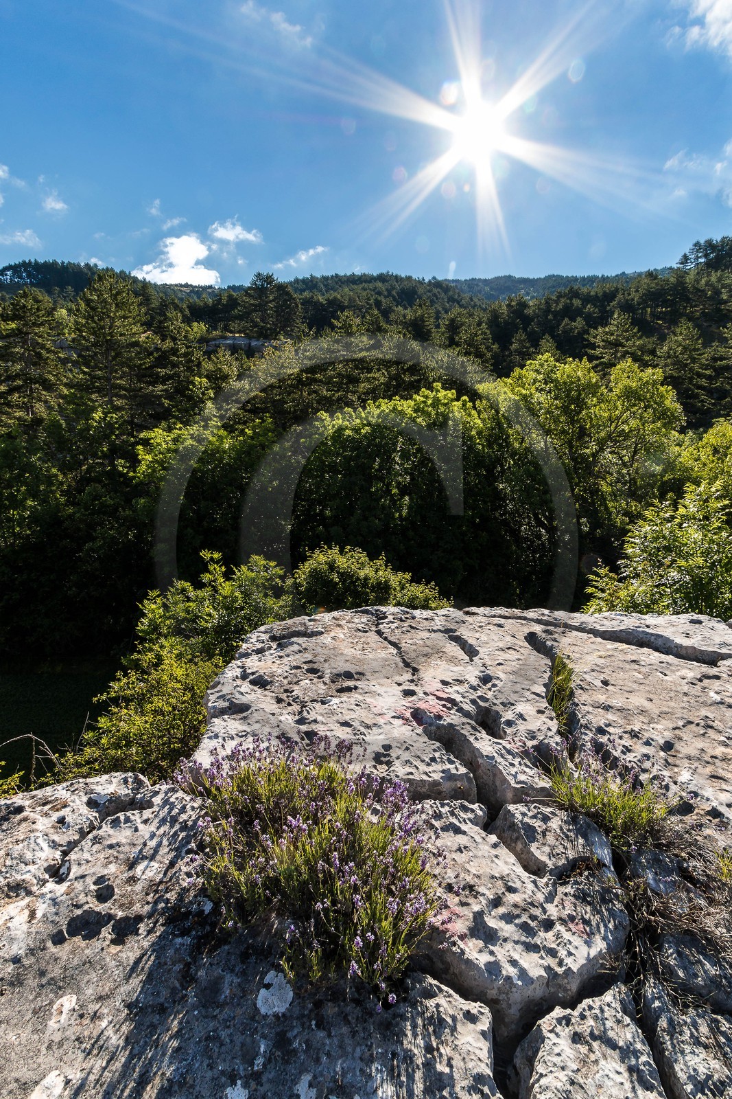 Saint-Geniez, Chardavon