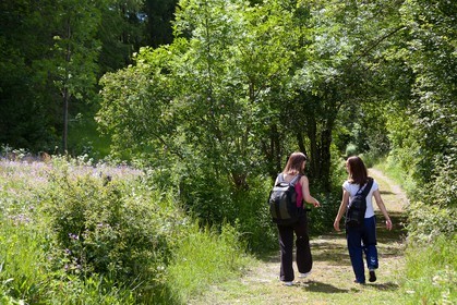 Randonnée champêtre