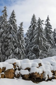 ENS de l'Isère, Les Ecouges