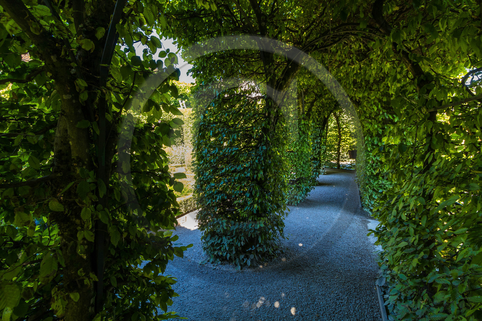 Jardin des Cinq Sens