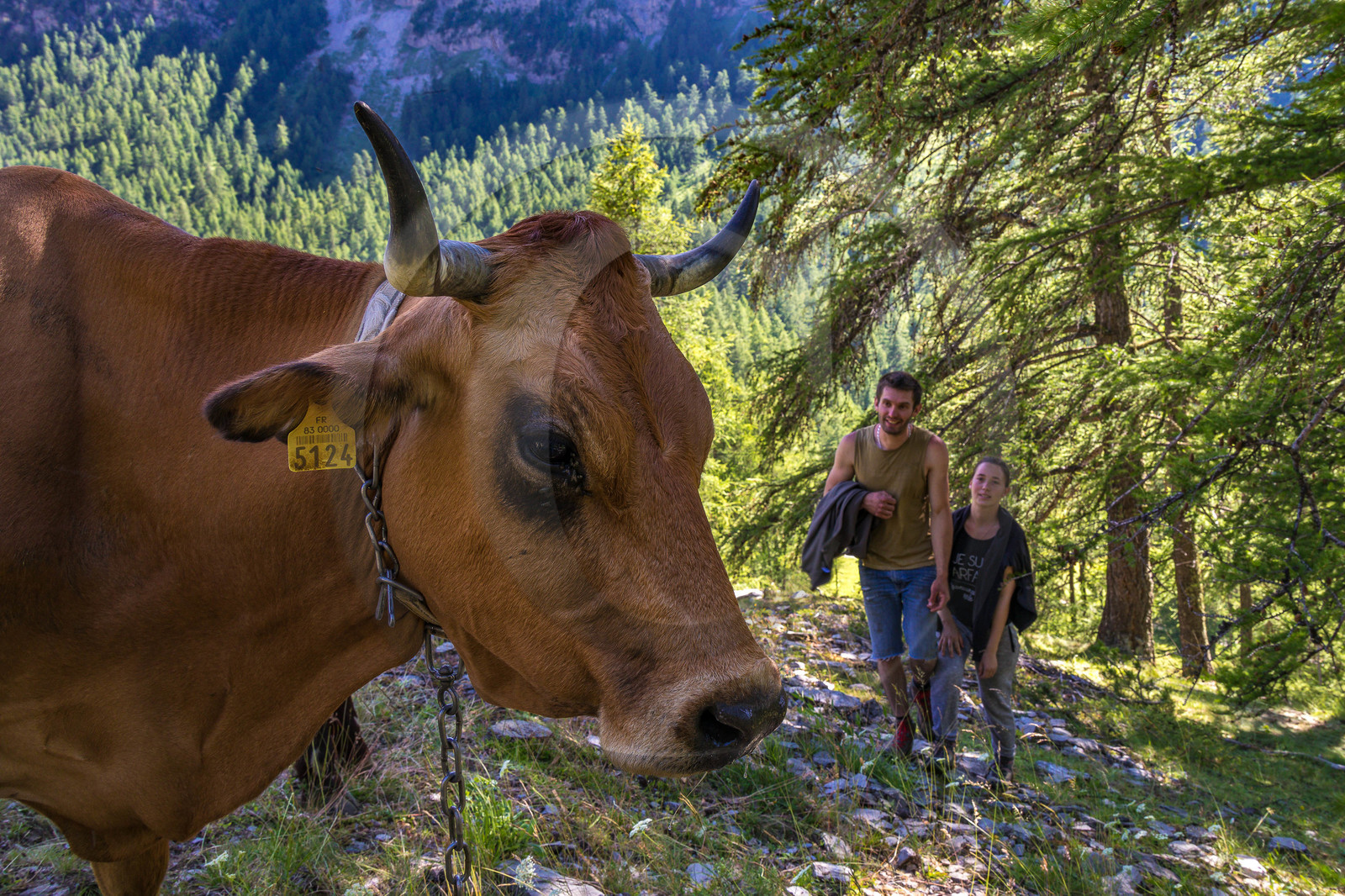 Fromagerie fermière de Pra Chiriou