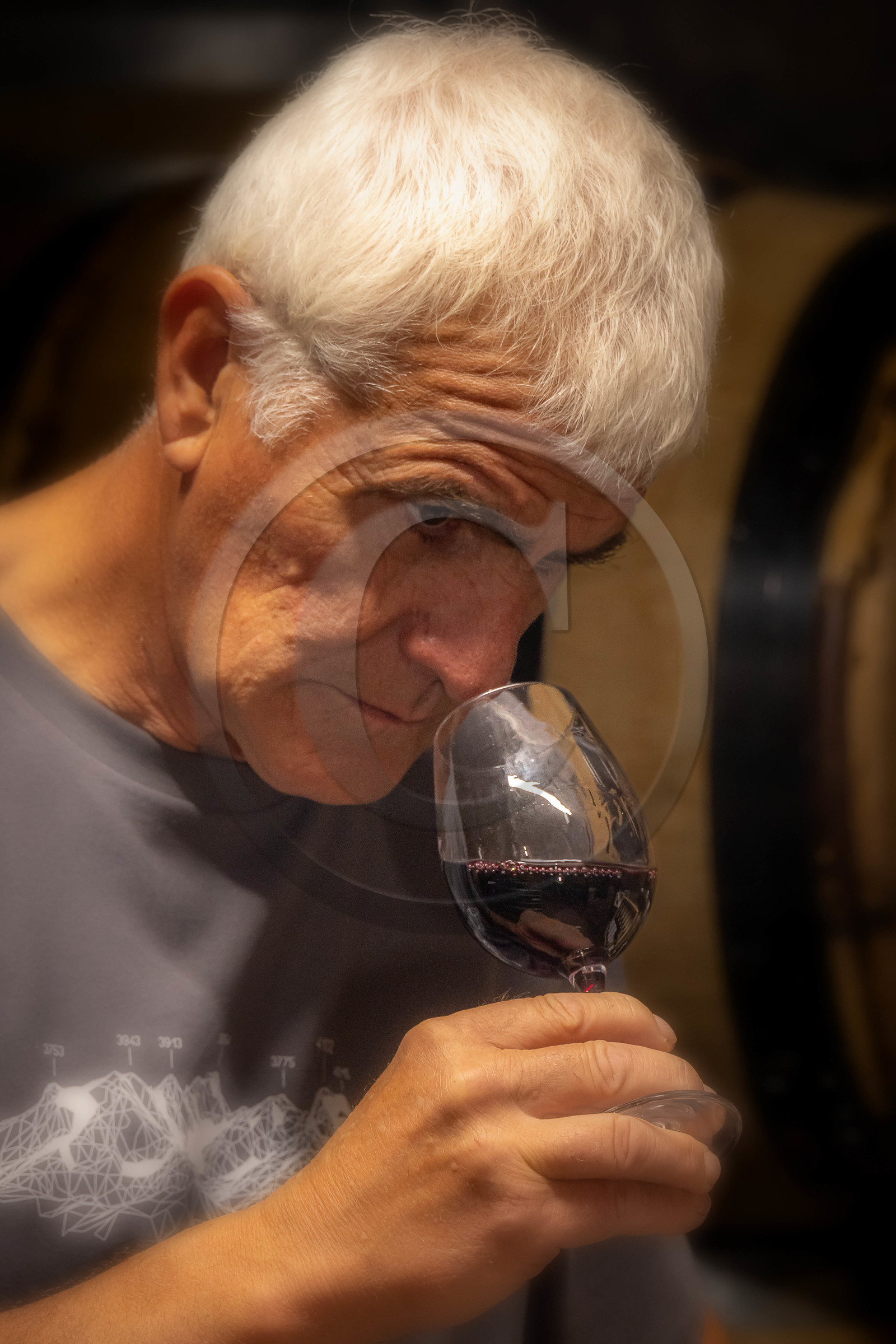 Domaine du Mont Guillaume, Emmanuel Berteloot vigneron