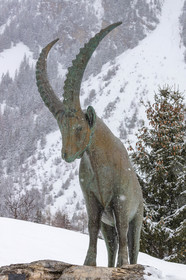 Pralognan-la-Vanoise, bouquetin en bronze