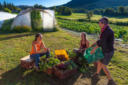 LéguMontagne, Sylvie Jaussaud et  Bertille Gieu, Maraîchères bio