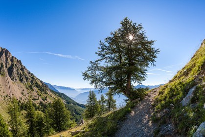 Randonnée pédestre du Mont Guillaume,