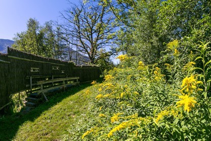 ENS de l'Isère, Tourbières de l'Herretang