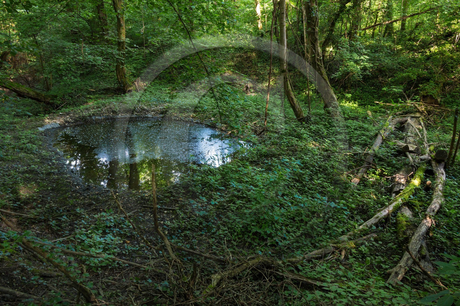 ENS de l'Isère, bois de la Bâtie