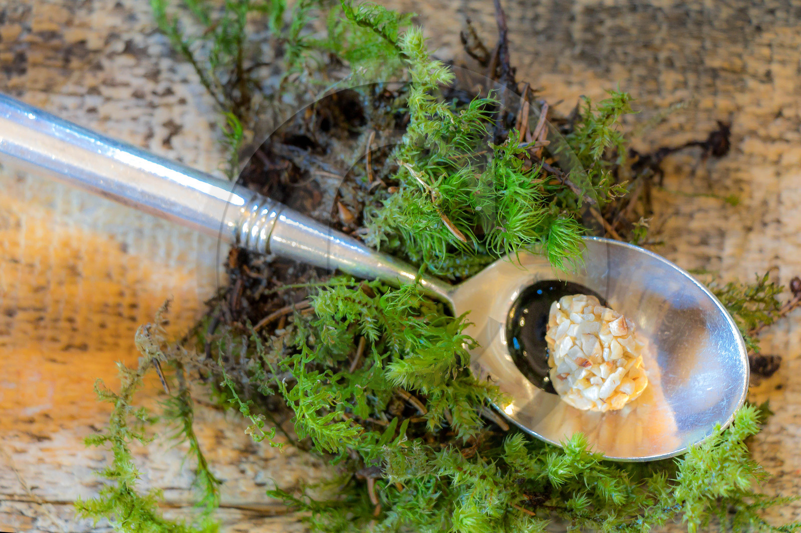 Apéritif dégustation