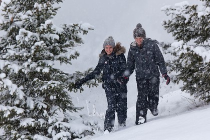 Hiver, randonnée balade sous la neige