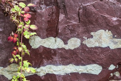 Vallée de la Tinée, Roubion, gorges de la Vionène