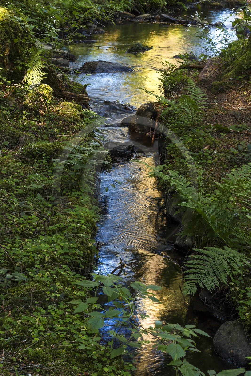 ENS de l'Isère, Marais des Seiglières