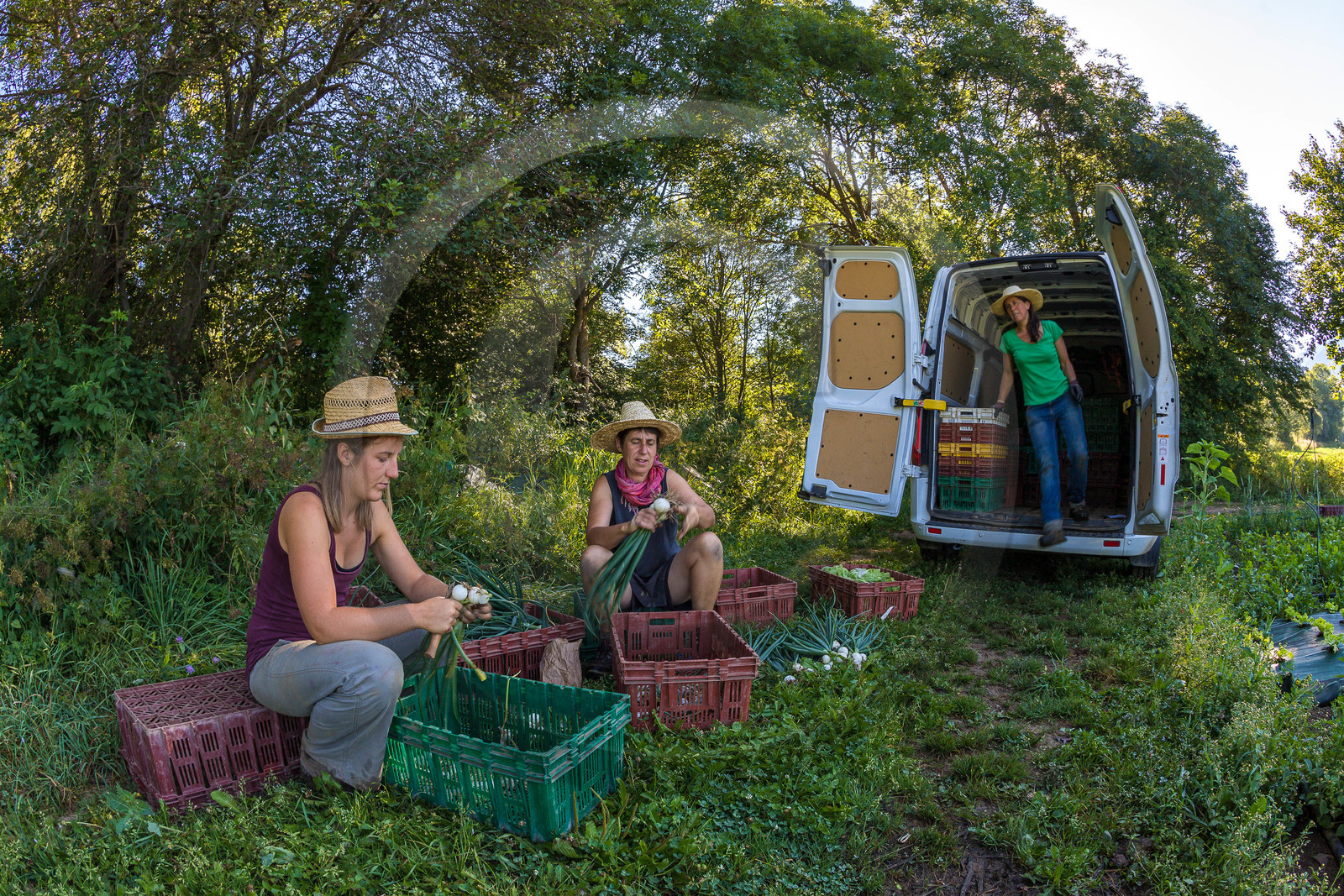 LéguMontagne, Sylvie Jaussaud et  Bertille Gieu, Maraîchères bio