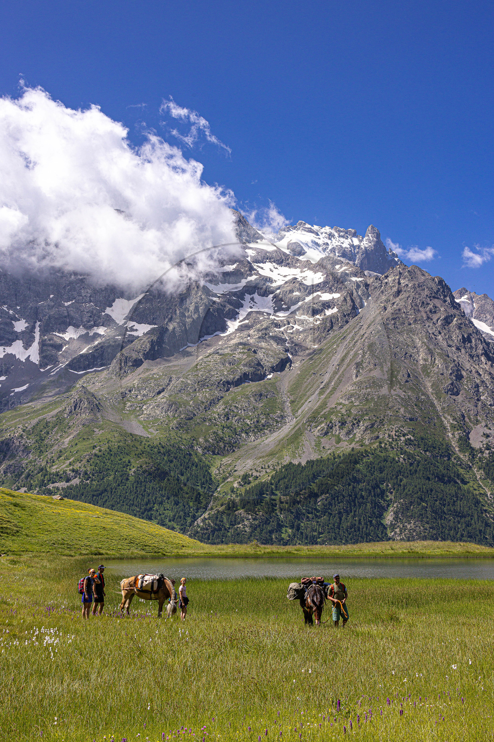 Trek famille avec animaux de bats