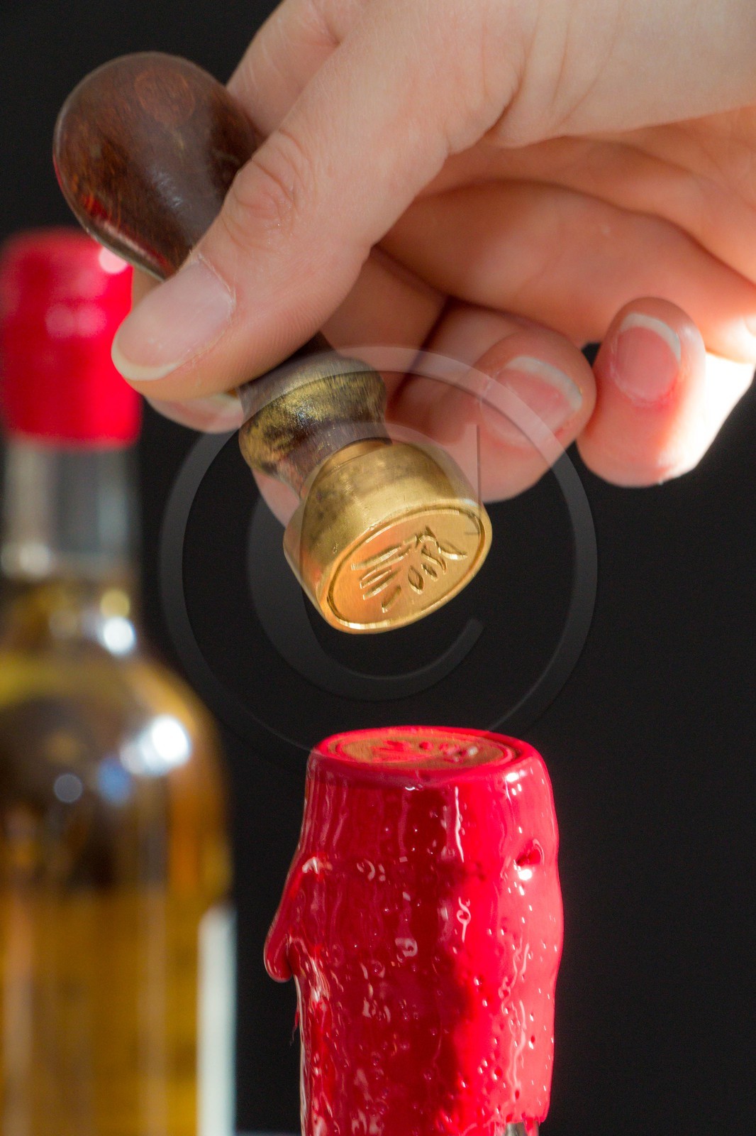 Orcières 1850, Génépi Guillaumette