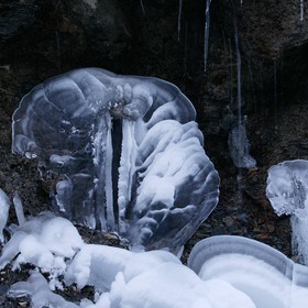 Délices de gel