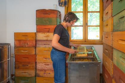 La miellerie du Lauzet