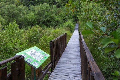 ENS de l'Isère, Tourbière des Planchettes