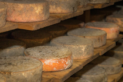 Fromagerie du Plan, Pierrick Rolland, éleveur