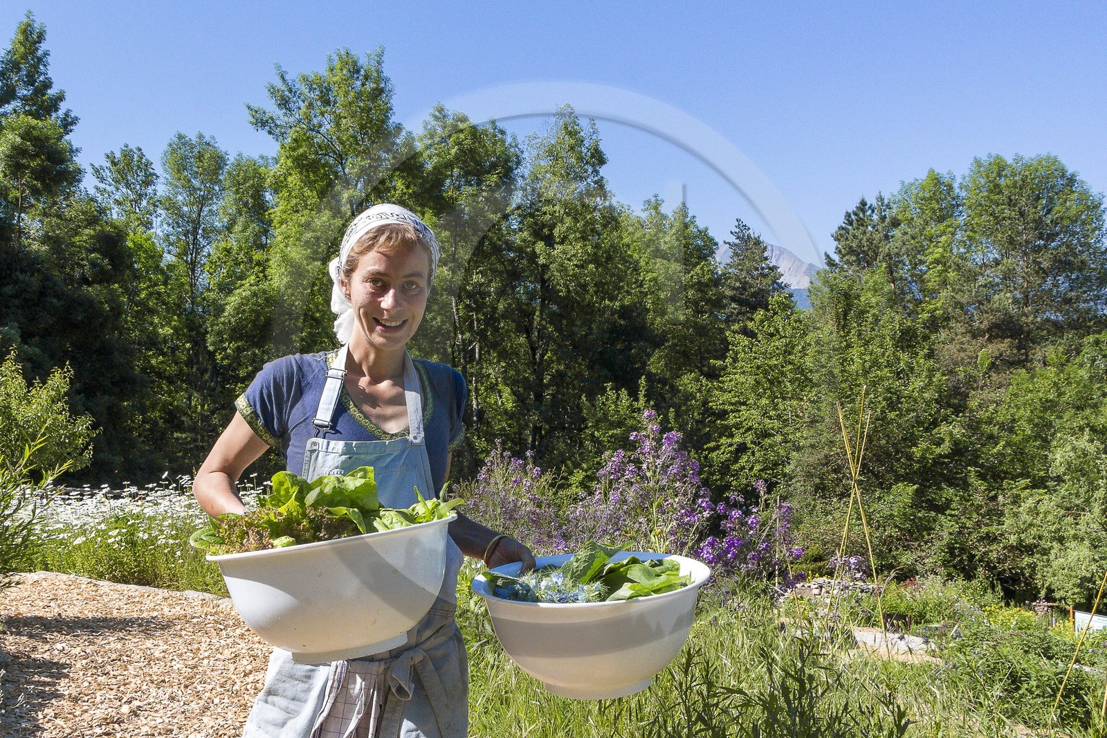 Parc écologique Terre Vivante, stage photo macro nature