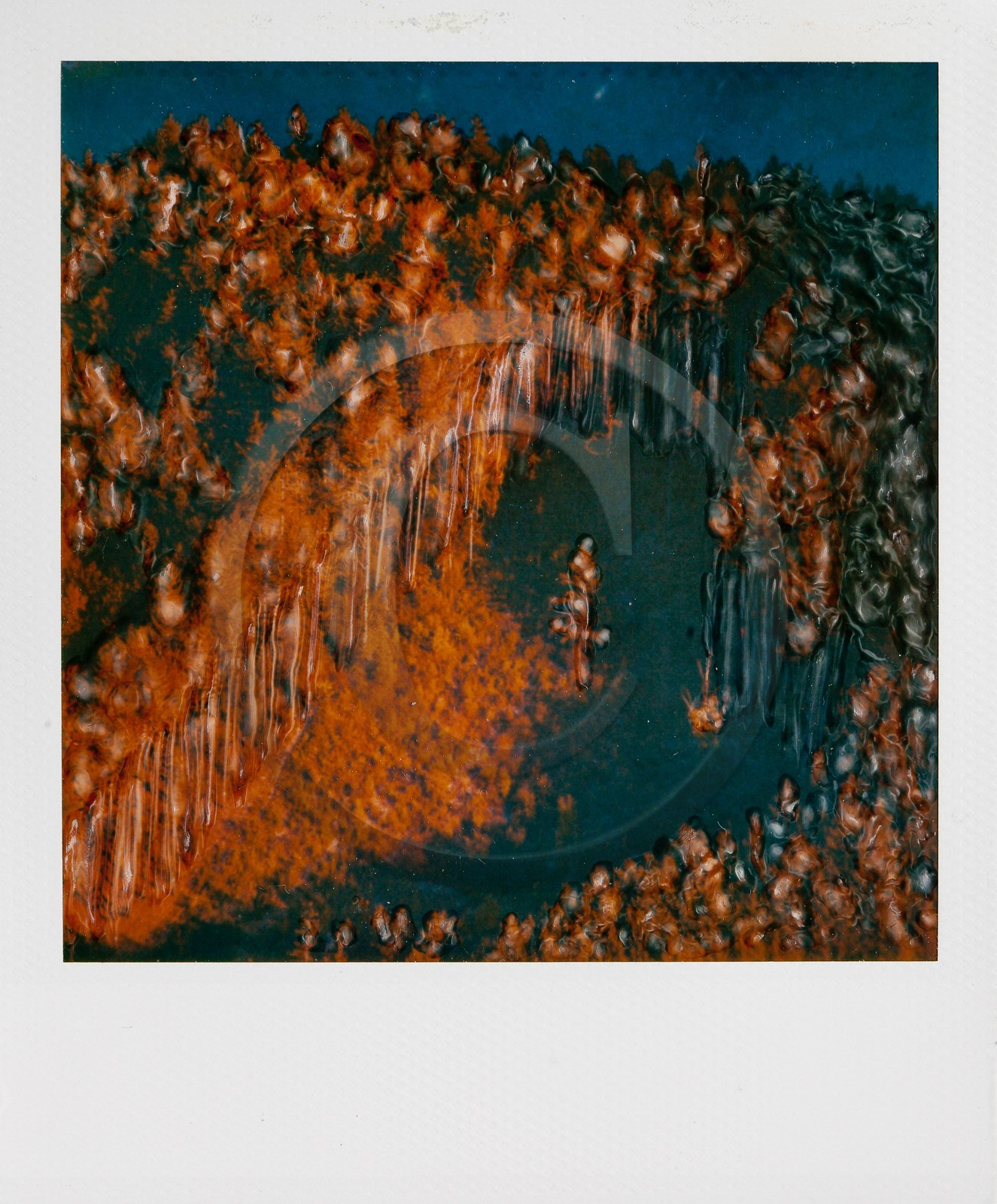 Exposition Arbres et petites forêts, éloge de la biodiversité