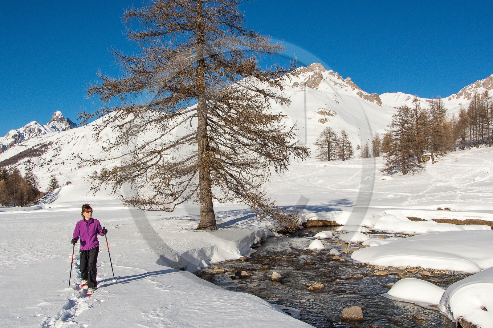 Col de Larche, vallon du lauzanier, randonnée raquettes