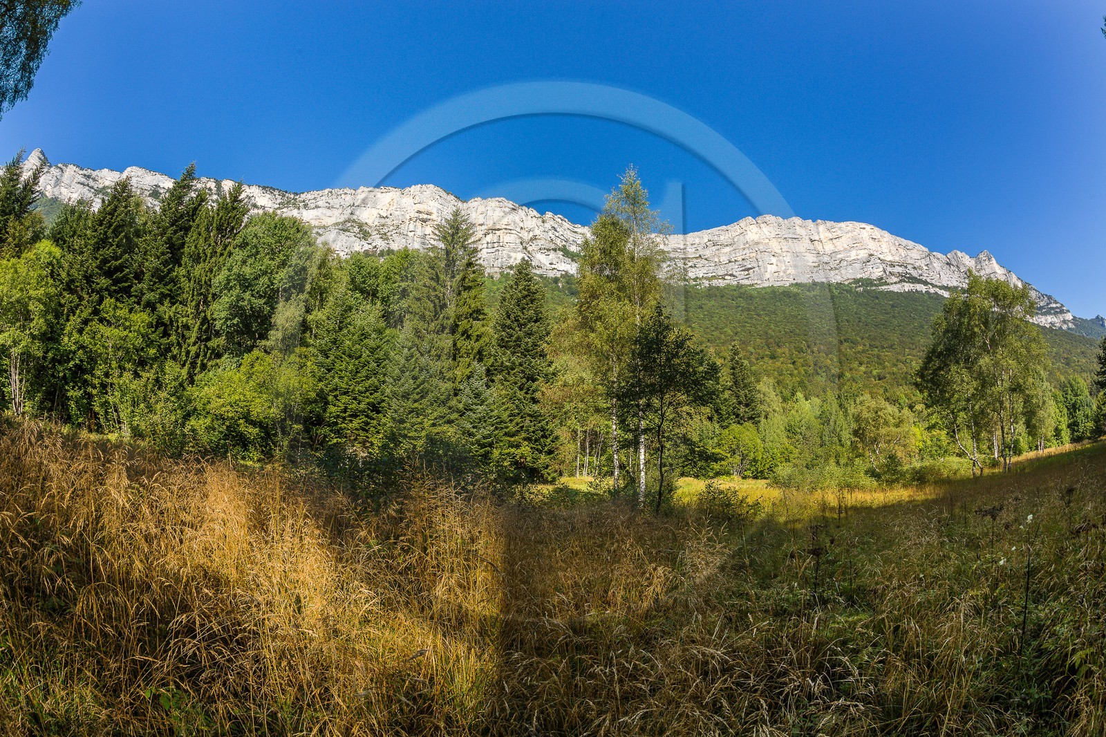 ENS de l'Isère,Tourbières du Peuil