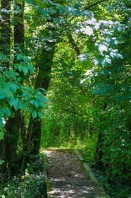 ENS de l'Isère, Marais de Chirens