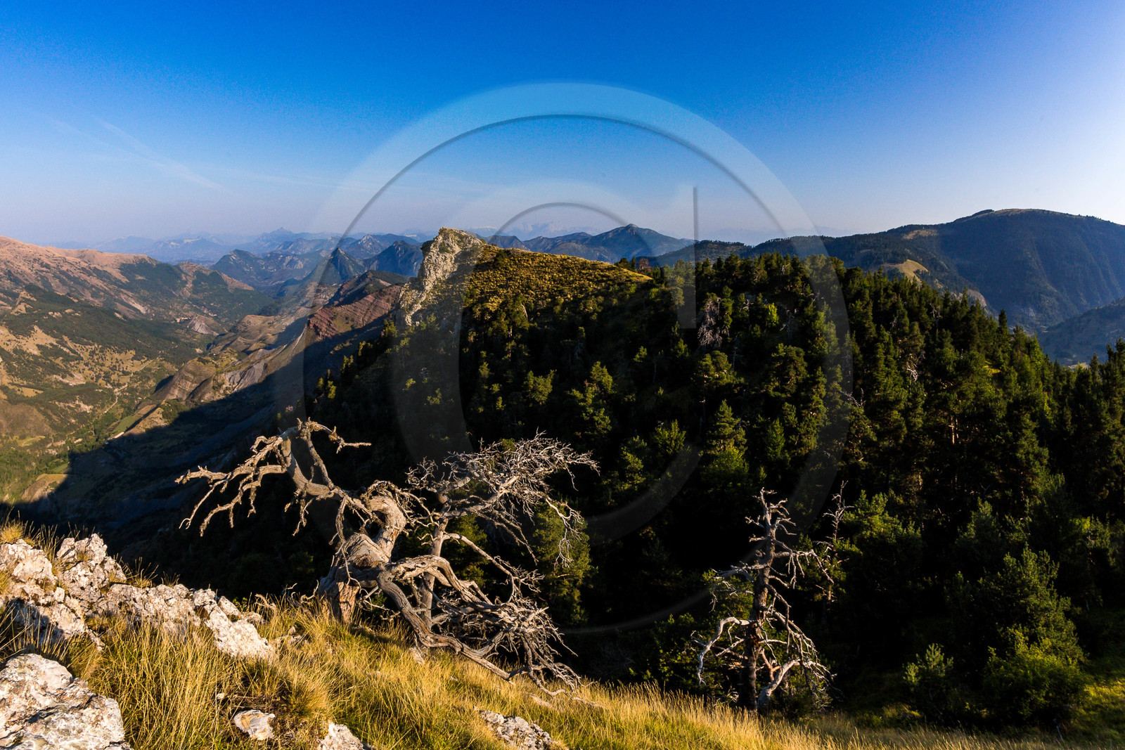 Les Monges, Esparron-La-Bâtie, crète de Maladrech