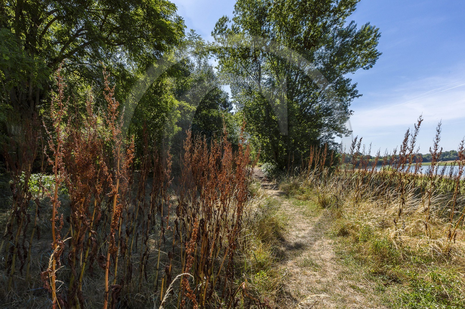 ENS de l'Isère, , le méandre des Oves