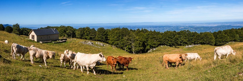 ENS de l'Isère, Les Ecouges, Fessole