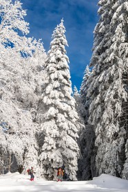 ENS de l'Isère, Les Ecouges