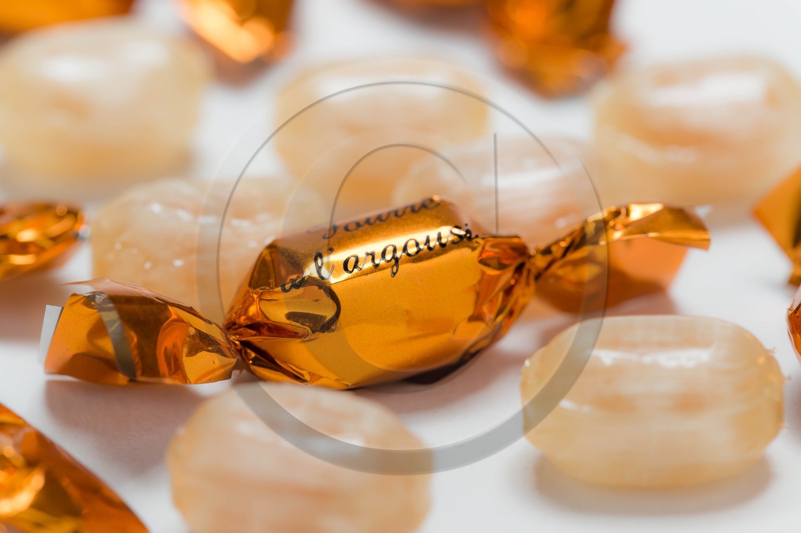 David Viveau agriculteur, producteur de baies d'argousier