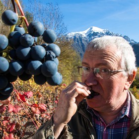 Valbonnais, Les Angelas, les vignes de Blanc-Marquis