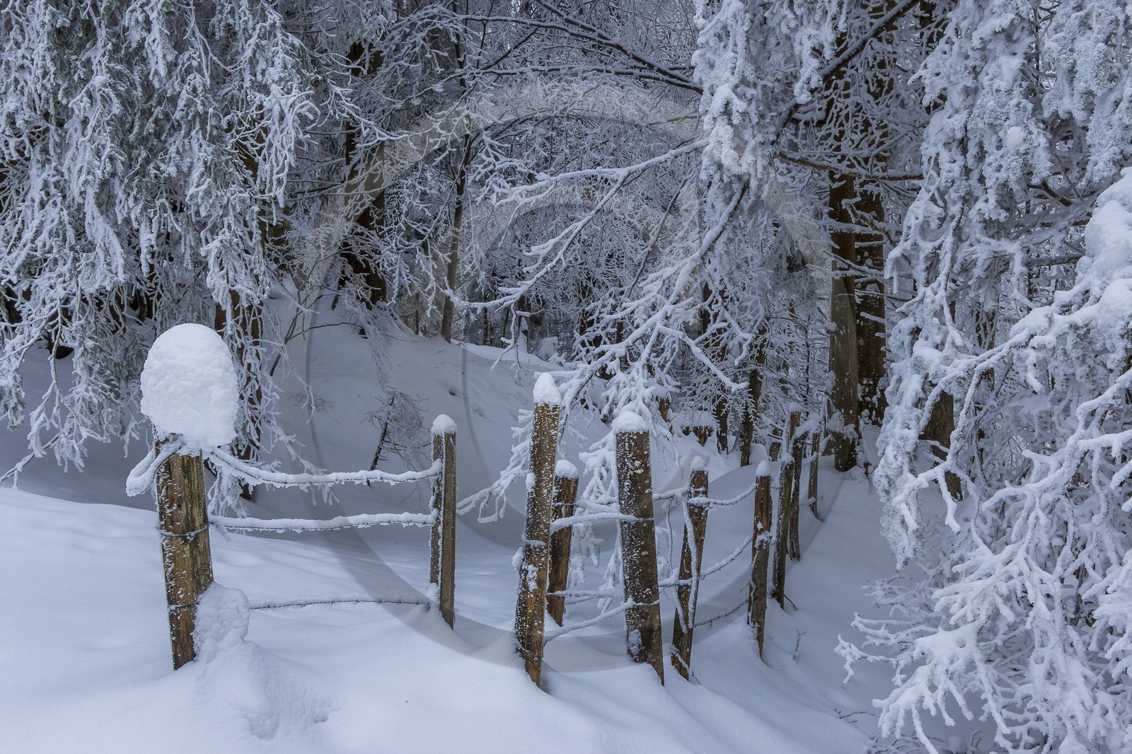 ENS de l'Isère, Les Ecouges