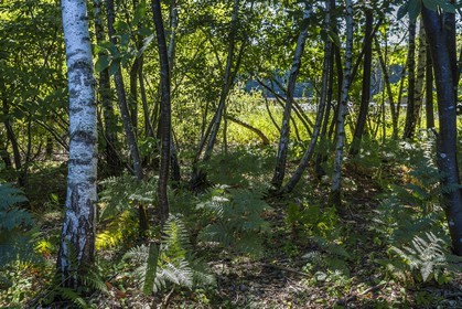 ENS de l'Isère, Etang des Béroudières